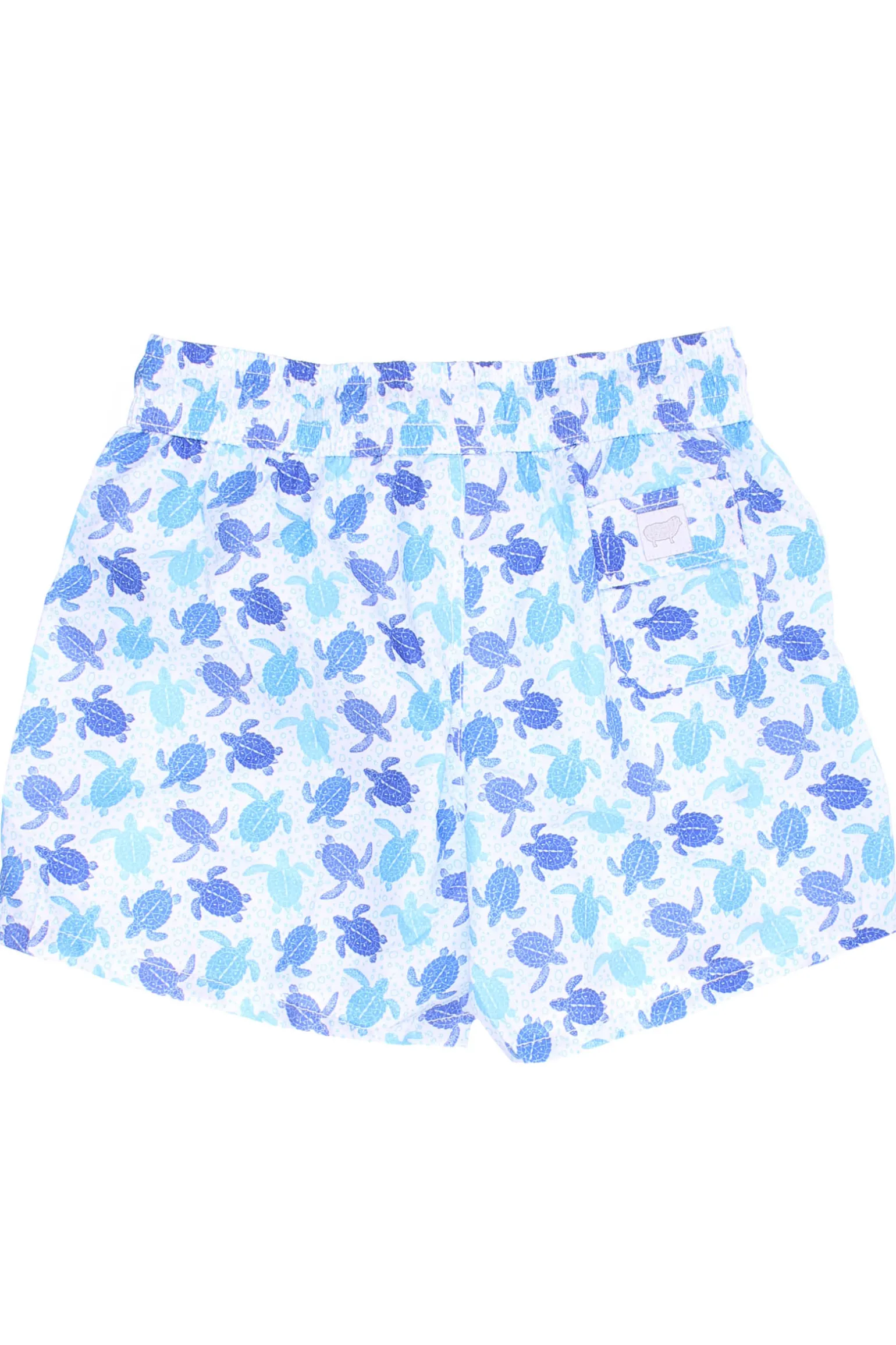 Boxer mare