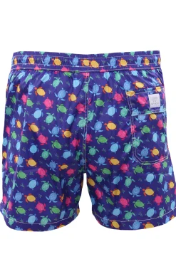 Boxer mare stampa