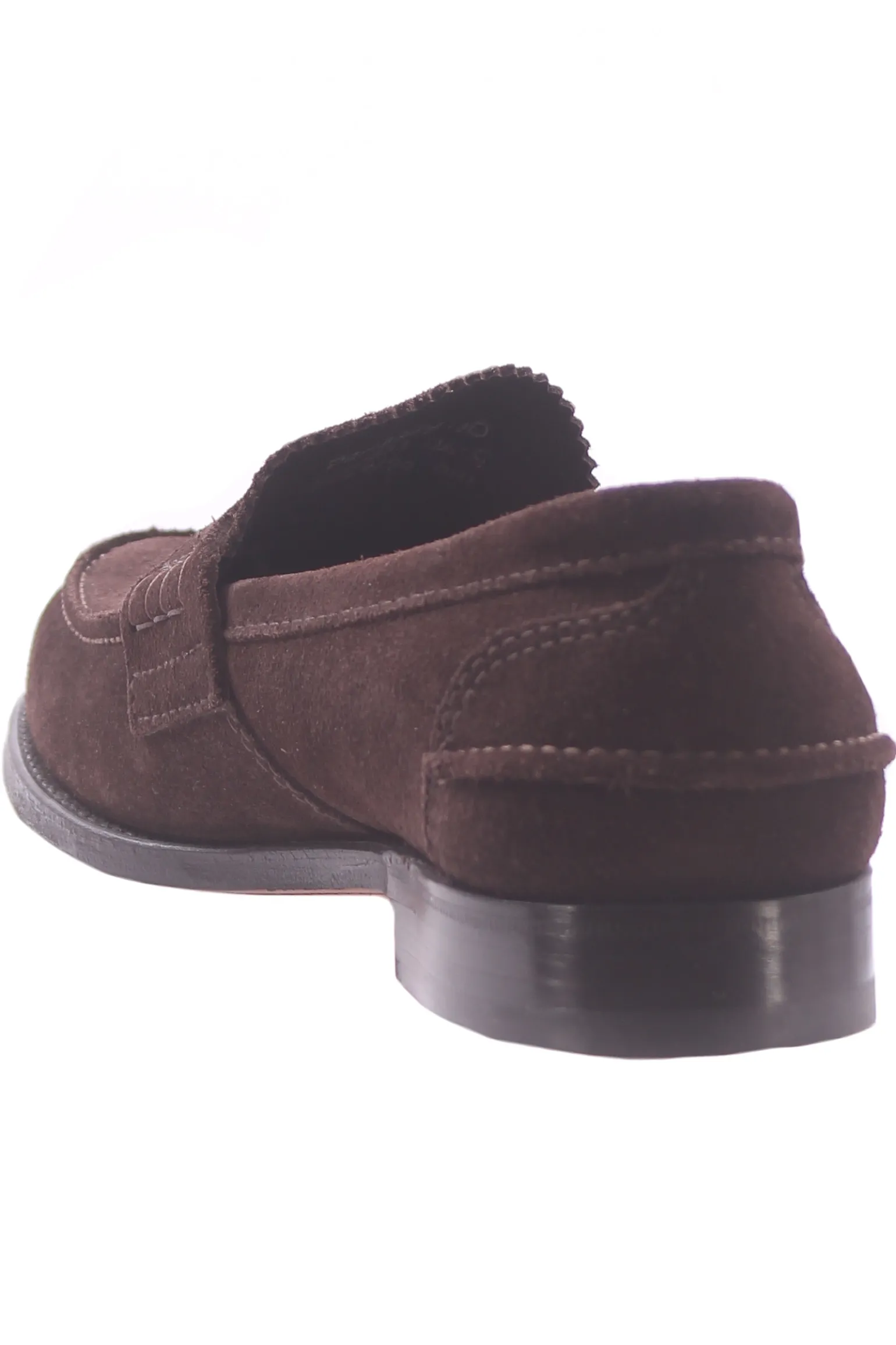 Pembrey castoro