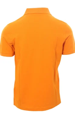 polo amedee piquet