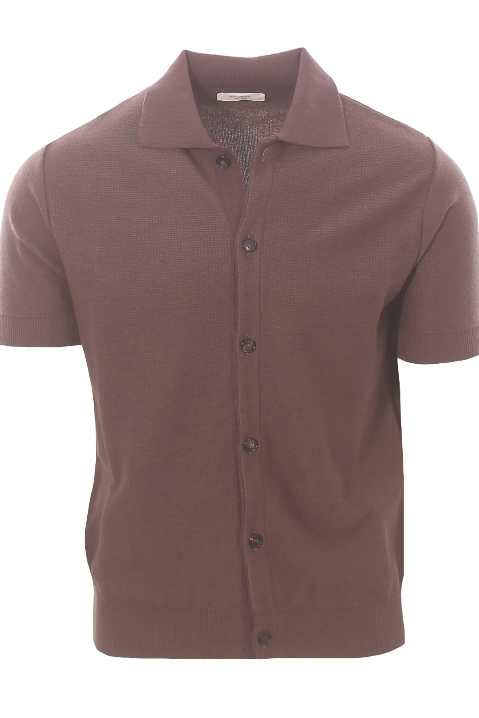 polo camicia cotone operato