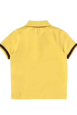 Polo vincent