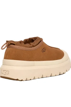 sneakers uomo tasman weather hybrid