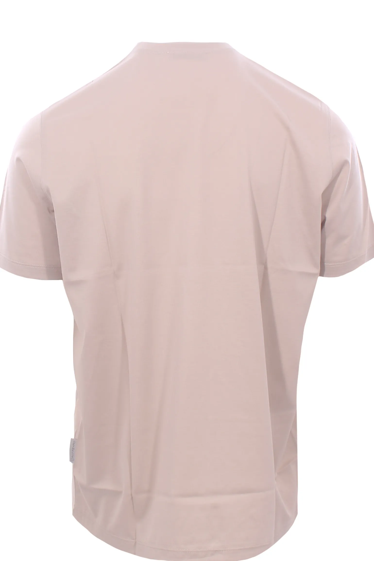 t-shirt in cotone